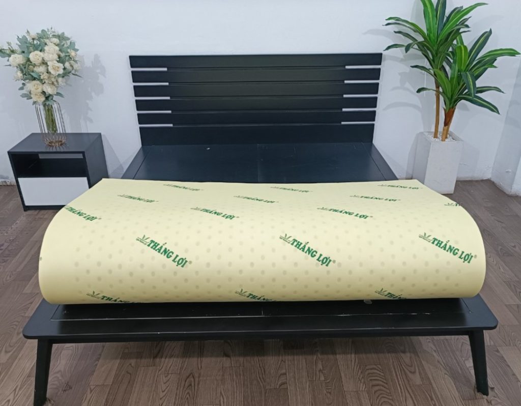 nệm cao su non Thắng Lợi thế hệ mới