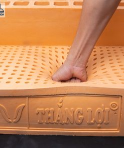 NỆM CAO SU THIÊN NHIÊN THẮNG LỢI