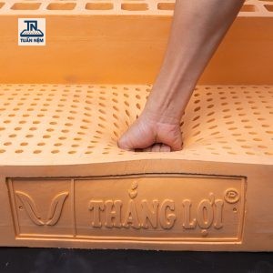 NỆM CAO SU THIÊN NHIÊN THẮNG LỢI