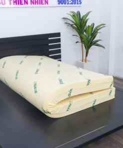 Tại sao nên mua nệm cao su non Thắng Lợi?