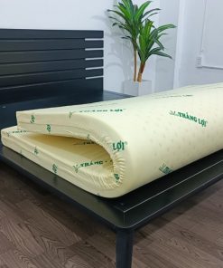 Tại sao nên mua nệm cao su non Thắng Lợi?