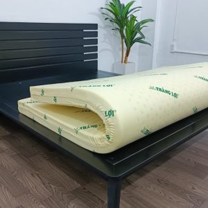 Tại sao nên mua nệm cao su non Thắng Lợi?