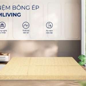 Độ phẳng hoàn hảo bảo vệ cột sống hiệu quả