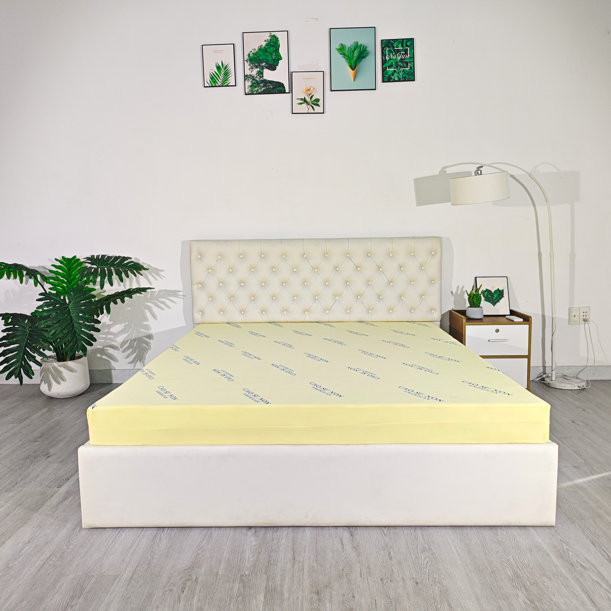 Nệm cao su non American - Nệm Foam