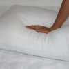 COMBO 2 Gối Bông Gòn - Ruột Gối Nằm Bông Gòn Kích Thước 50x70cm