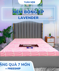 Nệm Bông ép Lavender Đông Á