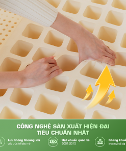 Nệm bông ép Lavender Đông Á tại Tuấn Nệm không chỉ cảm giác dễ chịu