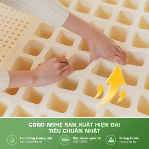 Nệm bông ép Lavender Đông Á tại Tuấn Nệm không chỉ cảm giác dễ chịu