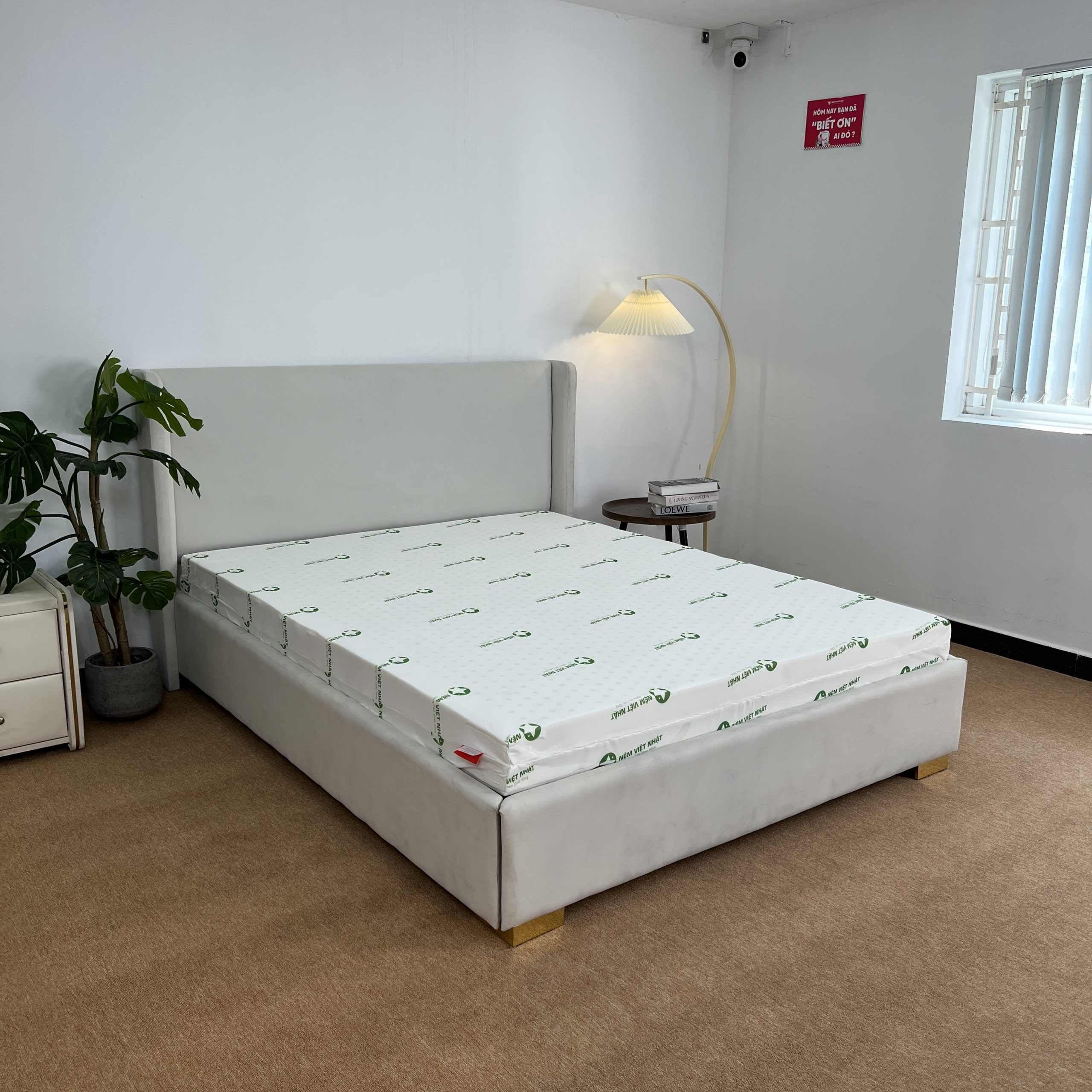 Nệm Foam VIỆT NHẬT Sora - Ảnh 8