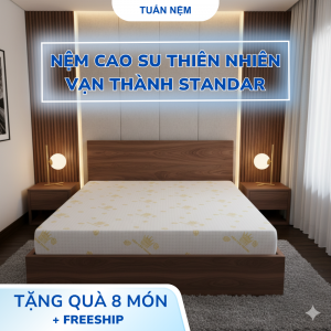 Nệm Cao Su Thiên Nhiên Vạn Thành STANDARD - Đủ kích thước