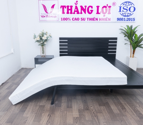 Nệm Cao Su WONDER FOAM Thắng Lợi Đầy Đủ Kích Thước - Ảnh 4