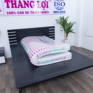 Chính sách bảo hành và cam kết chất lượng