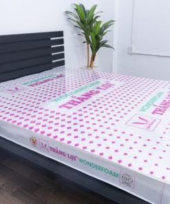 Nệm cao su Wonder Foam Thắng Lợi sản phẩm nệm cao su cao cấp dành cho người Việt