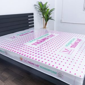Nệm cao su Wonder Foam Thắng Lợi sản phẩm nệm cao su cao cấp dành cho người Việt