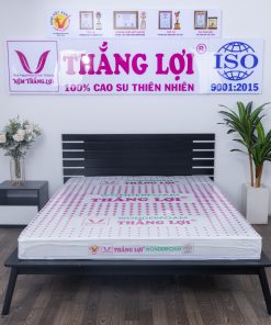 Nệm Cao Su WONDER FOAM Thắng Lợi Đầy Đủ Kích Thước