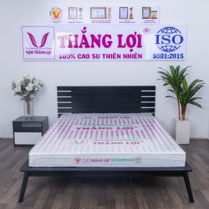 Nệm Cao Su WONDER FOAM Thắng Lợi Đầy Đủ Kích Thước