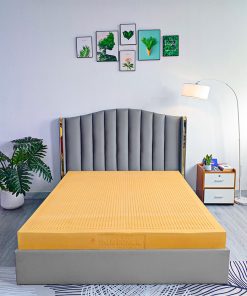 Bảo hành chính hãng lên đến 10 năm