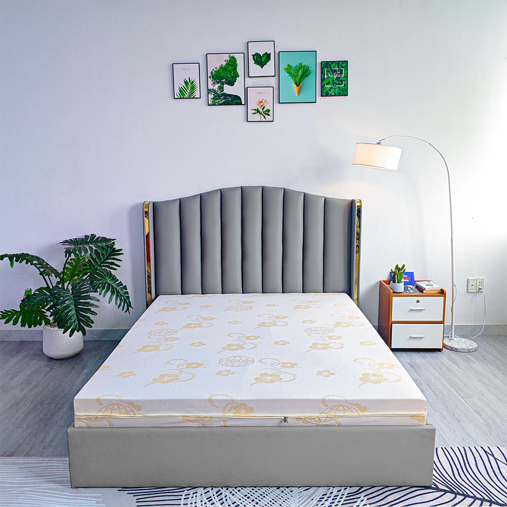 Giá nệm cao su Vạn Thành 2025 bao nhiêu tiền?