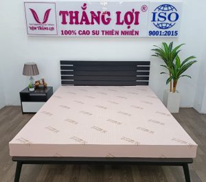 Nệm Cao Su Thiên Nhiên Thắng Lợi SiSi Advanced - Nệm Ch