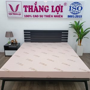Nệm Cao Su Thiên Nhiên Thắng Lợi SiSi Advanced - Nệm Ch