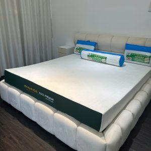 Dễ vệ sinh và bảo quản