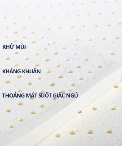 Thiết kế linh hoạt – Đa năng cho mọi nhu cầu sử dụng