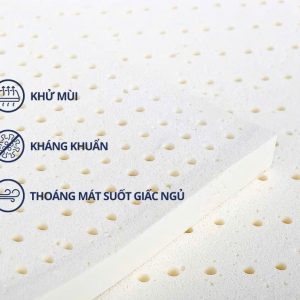 Thiết kế linh hoạt – Đa năng cho mọi nhu cầu sử dụng