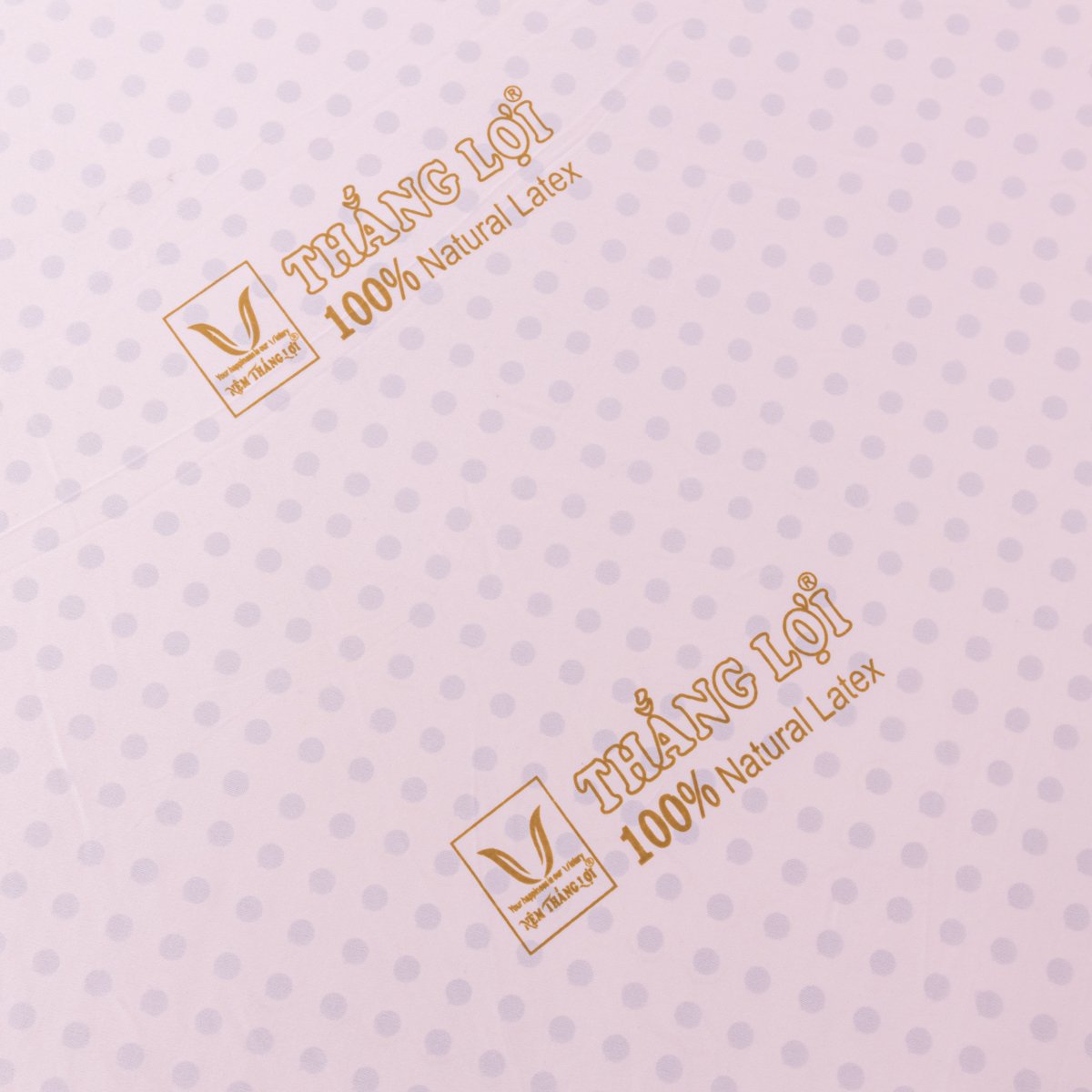 Nệm Cao Su Thiên Nhiên Thắng Lợi SiSi Advanced - Ảnh 2