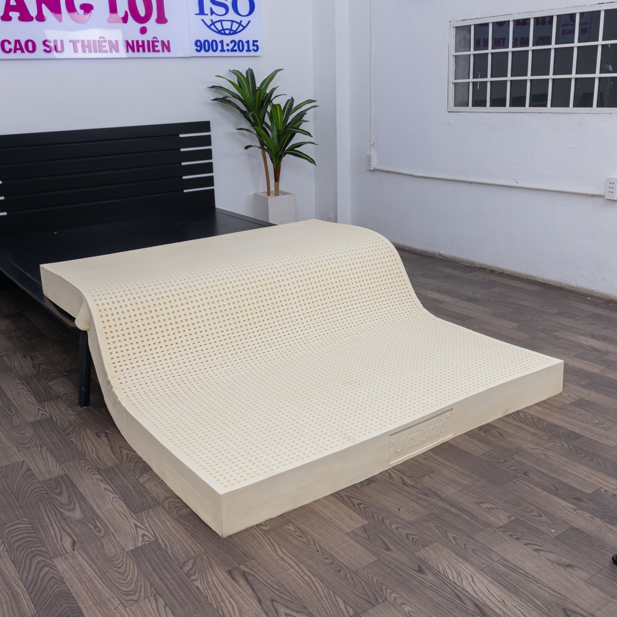 Nệm Cao Su Thiên Nhiên Thắng Lợi SiSi Advanced - Ảnh 3