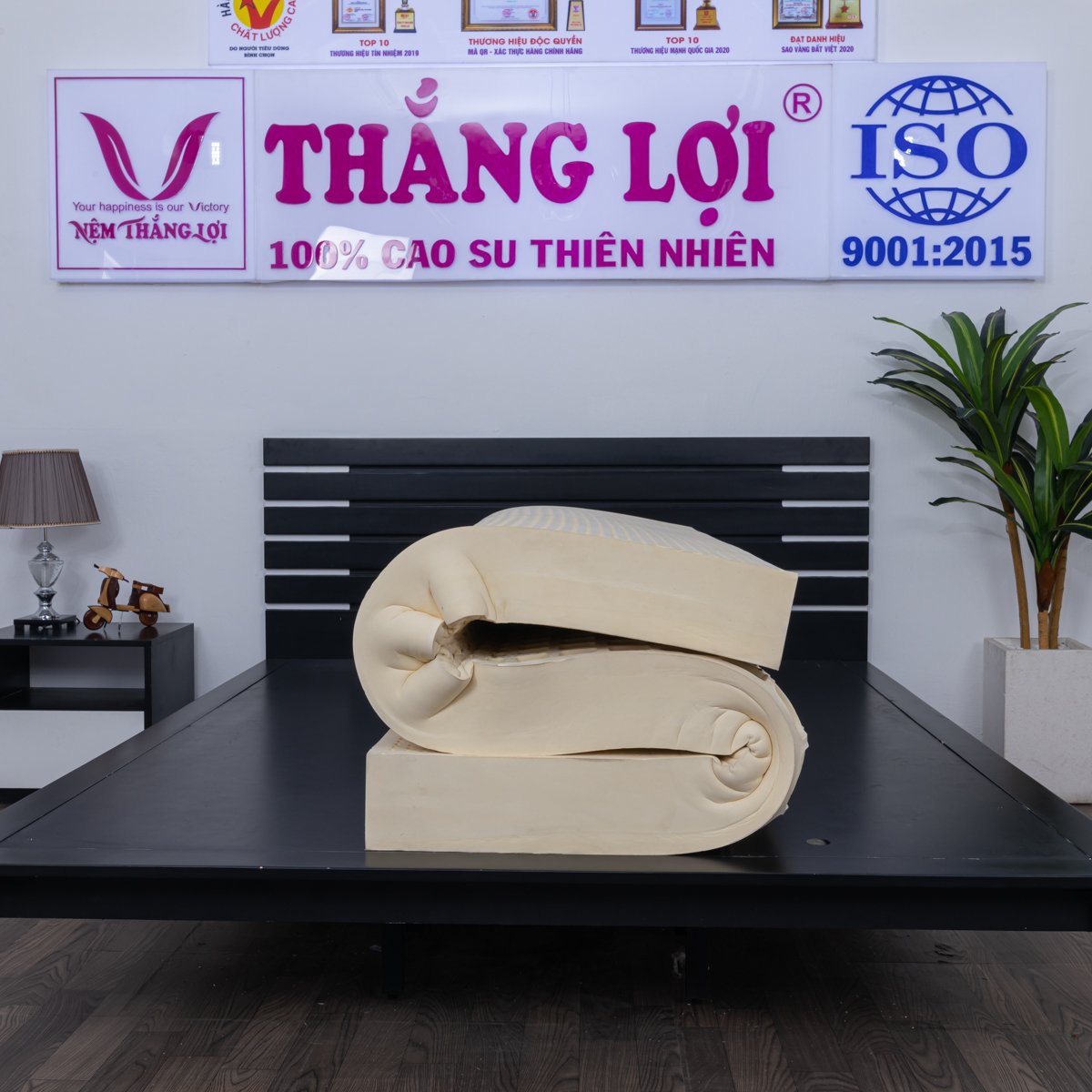 Nệm Cao Su Thiên Nhiên Thắng Lợi SiSi Advanced - Ảnh 8