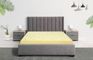 Bỏ túi bí quyết chọn nệm cao su non chất lượng, giá tại xưởng